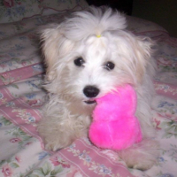 Sissy bébé de 4 mois