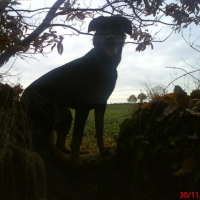 Photo #193003 de Kaïna