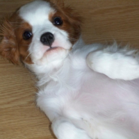 Photo #193138 de Esy