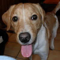 Photo #193144 de Kana