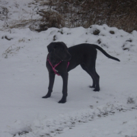Photo #193222 de Dyna