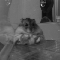 Photo #193230 de Mimi