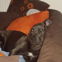 Photo #193238 de Dyna