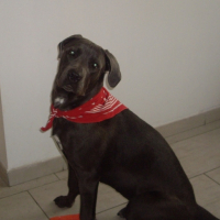 Photo #193251 de Dyna