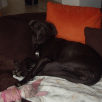 Photo #193254 de Dyna
