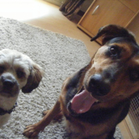 Photo #193299 de Zorka