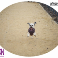 Photo #193320 de Aston