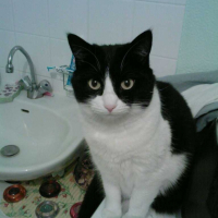 Photo #193323 de Salem