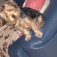 Photo #193341 de Khalye