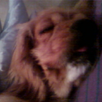 Photo #193354 de Enzo