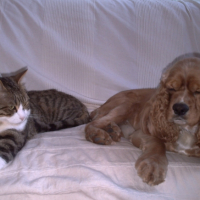 Photo #193364 de Enzo