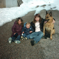 Photo #193443 de Orca