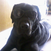 Photo #193638 de Booba
