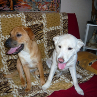 Photo #193654 de Cali