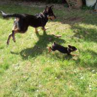 Sylar et moi en pleine course