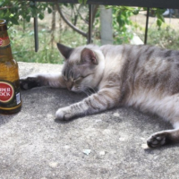 Photo #193774 de Fifi