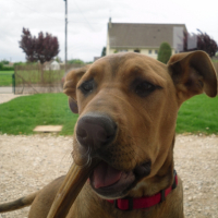 Photo #193782 de Fiona