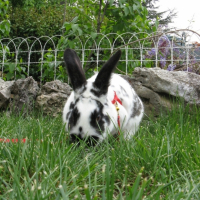 Photo #193783 de Jannot