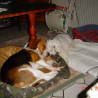 Photo #193803 de Dakotah