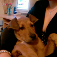 Photo #193807 de Fiona