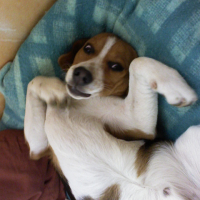 Photo #193808 de Dakotah
