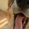dr_le_de_binki_en_avril_2007_6_