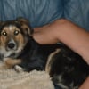 papa_et_binki_een_t_2006_1_