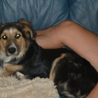 Photo #193875 de Binkie