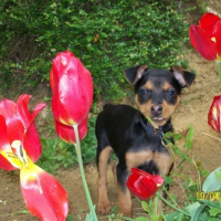 Photo #193879 de Eiko