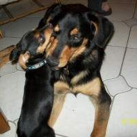 Photo #193881 de Eiko
