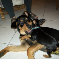 Photo #193886 de Eiko