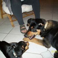 Photo #193889 de Eiko
