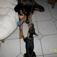 Photo #193891 de Eiko