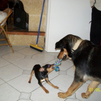 Photo #193895 de Eiko