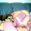 binki_en_mai_2006