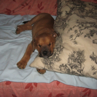 Photo #193926 de Doomy