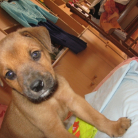 Photo #193931 de Doomy