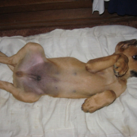 Photo #193933 de Doomy
