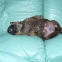 Photo #193938 de Doomy