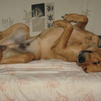 Photo #193944 de Doomy