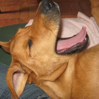 Photo #193955 de Doomy