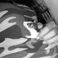 Photo #193974 de Loly