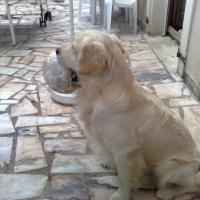 Photo #194061 de Cirus