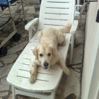 Photo #194063 de Cirus