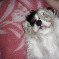 Photo #194105 de Canelle