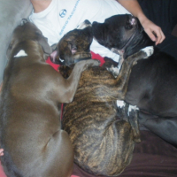 Photo #194190 de Eloa
