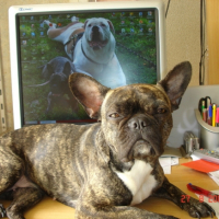 Sur le bureau