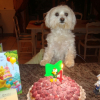 MON ANNIVERSAIRE 