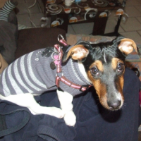 Photo #194381 de Emy