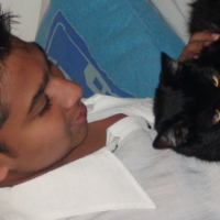 Photo #194401 de Kitty